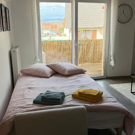 L - A 10 Min De Colmar - Parking Et Garage Gratuit - Ascenseur & Clim