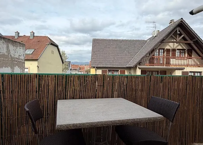 L - A 10 Min De Colmar - Parking Et Garage Gratuit - Ascenseur & Clim 公寓 *