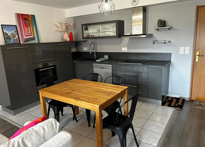 L - A 10 Min De Colmar - Parking Et Garage Gratuit - Ascenseur & Clim *